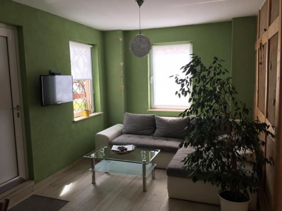 Ferienwohnung Zum Saaletalblick ناومبورغ المظهر الخارجي الصورة