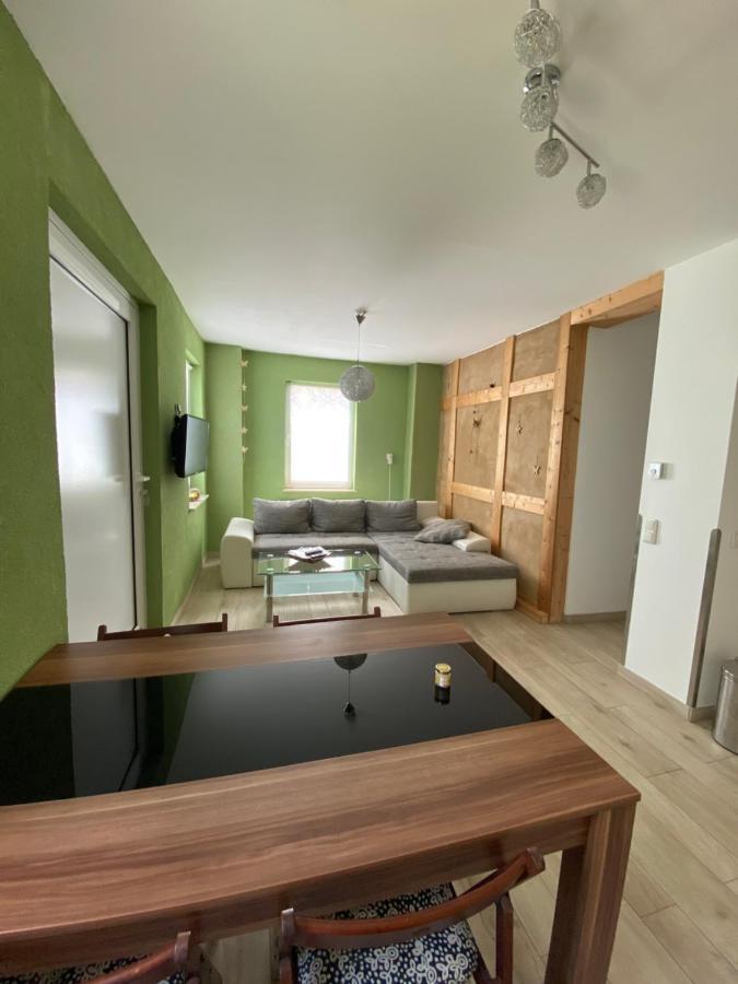 Ferienwohnung Zum Saaletalblick ناومبورغ المظهر الخارجي الصورة